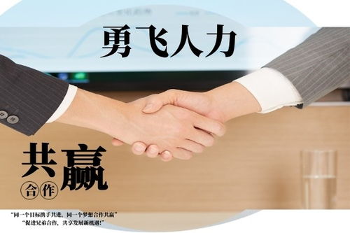 七臺河中介服務聯系方式及常見服務范圍