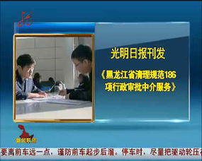 黑龍江省清理規范186項行政審批中介服務，提升政務服務效能